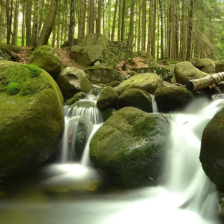 Belweder - Przy Golebiewski 2*