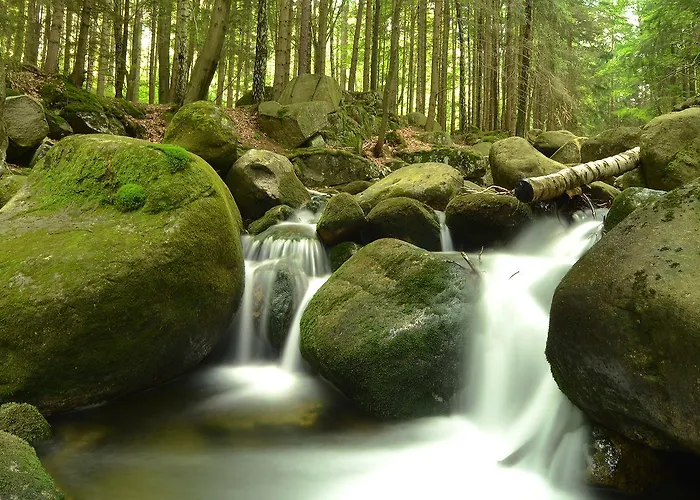 Hotel Belweder - Przy Hotelu Golebiewski 2*