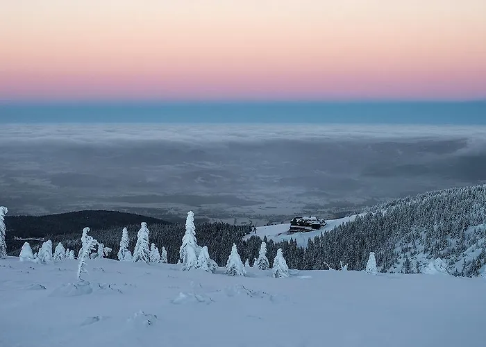 ホテル Belweder - Przy Golebiewski カルパッチ